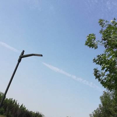 ark生存岛进化最新版下载